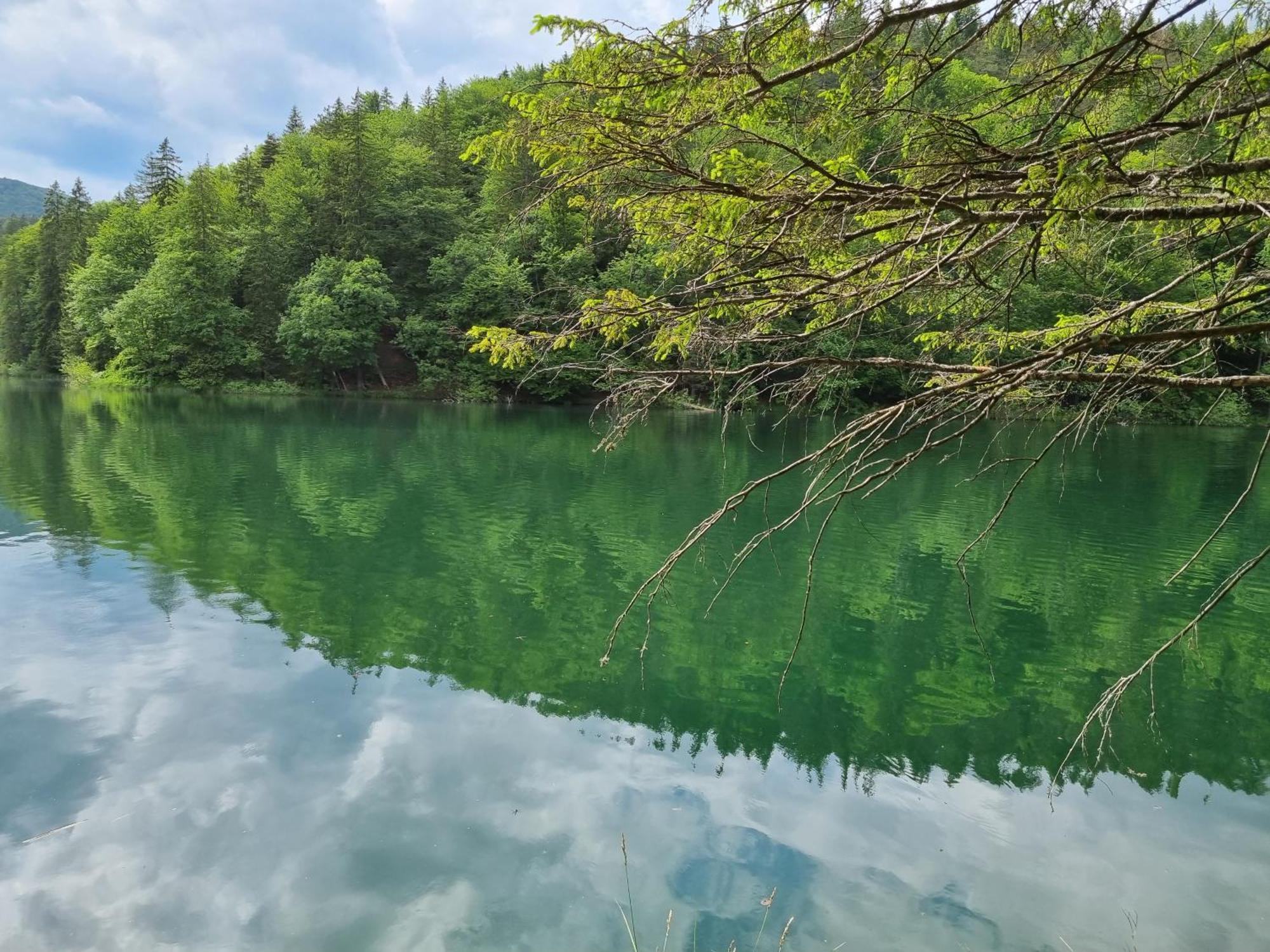 Villa Lady Di Plitvice Vrhovine Eksteriør bilde