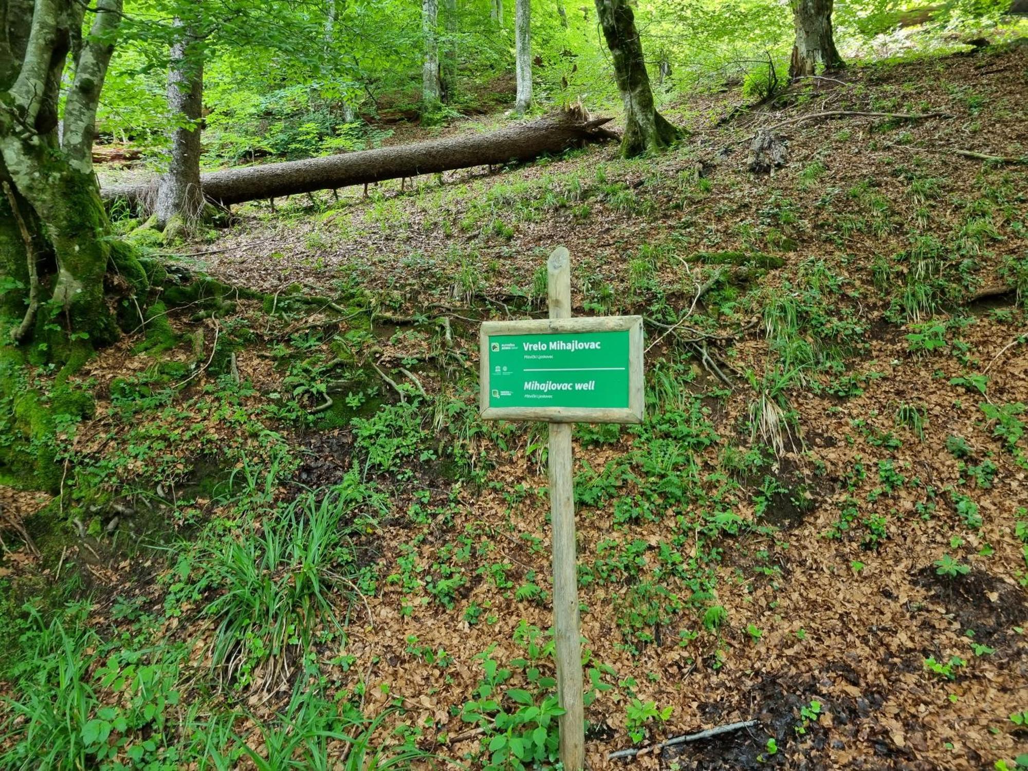 Villa Lady Di Plitvice Vrhovine Eksteriør bilde